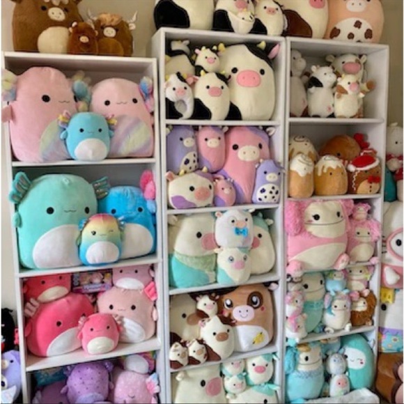 ✨HOST PICK✨ New Rare Squishmallow Box - Large Mystery Box of Squishmallow (25”+) - Picture 9 of 11